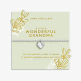 A Little 'Wonderful Grandma'