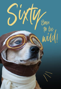 60, Born To Be Wild