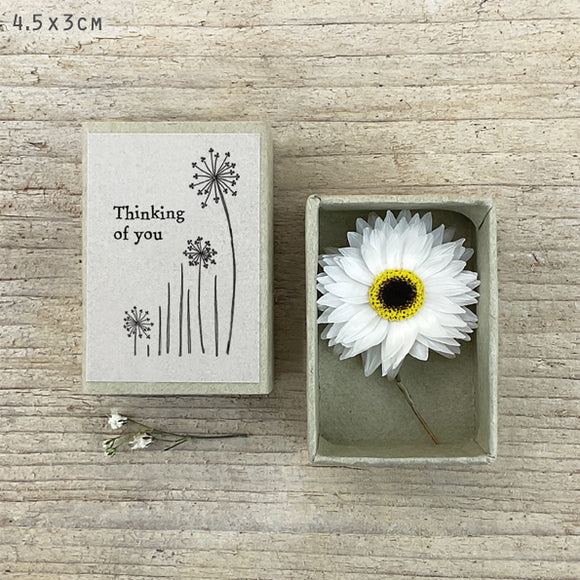 Dried Flower Matchbox - Thinking Of You