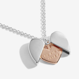 Secret Sentiment Lockets You Are So Loved Necklace