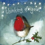 Christmas Robin Thinking Of You Little Starlight Christmas Card