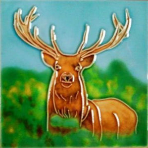 Red Deer Stag 4 X 4