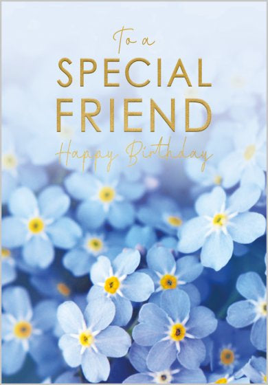 To A Special Friend, Happy Birthday
