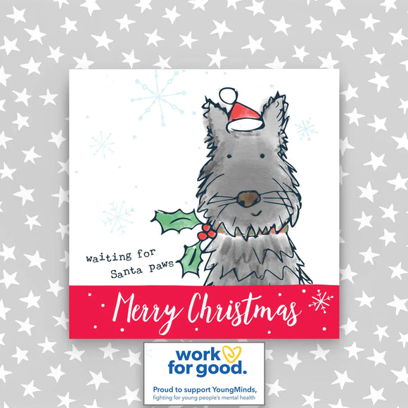 Charity Christmas Cards - pack of 4, Santa Paws