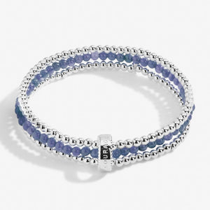 Wellness Stones ‘Courage’ Blue Lace Agate Bracelet