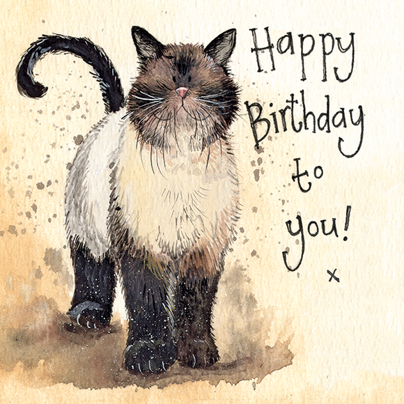 Happy Birthday, Coco Cat