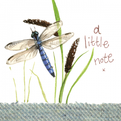 Dragonfly Little Note Card