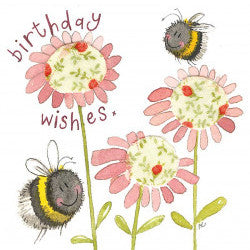 Birthday Wishes, Birthday Bee