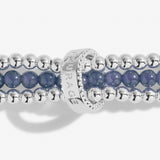 Wellness Stones ‘Courage’ Blue Lace Agate Bracelet