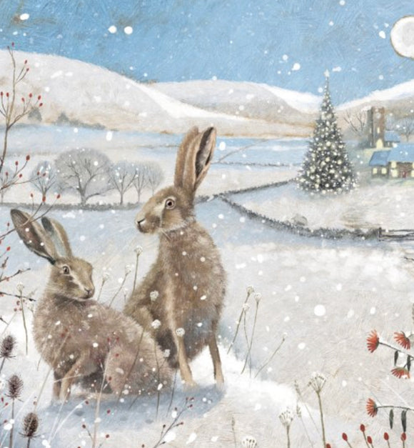 Hares In Winter Snow Scene
